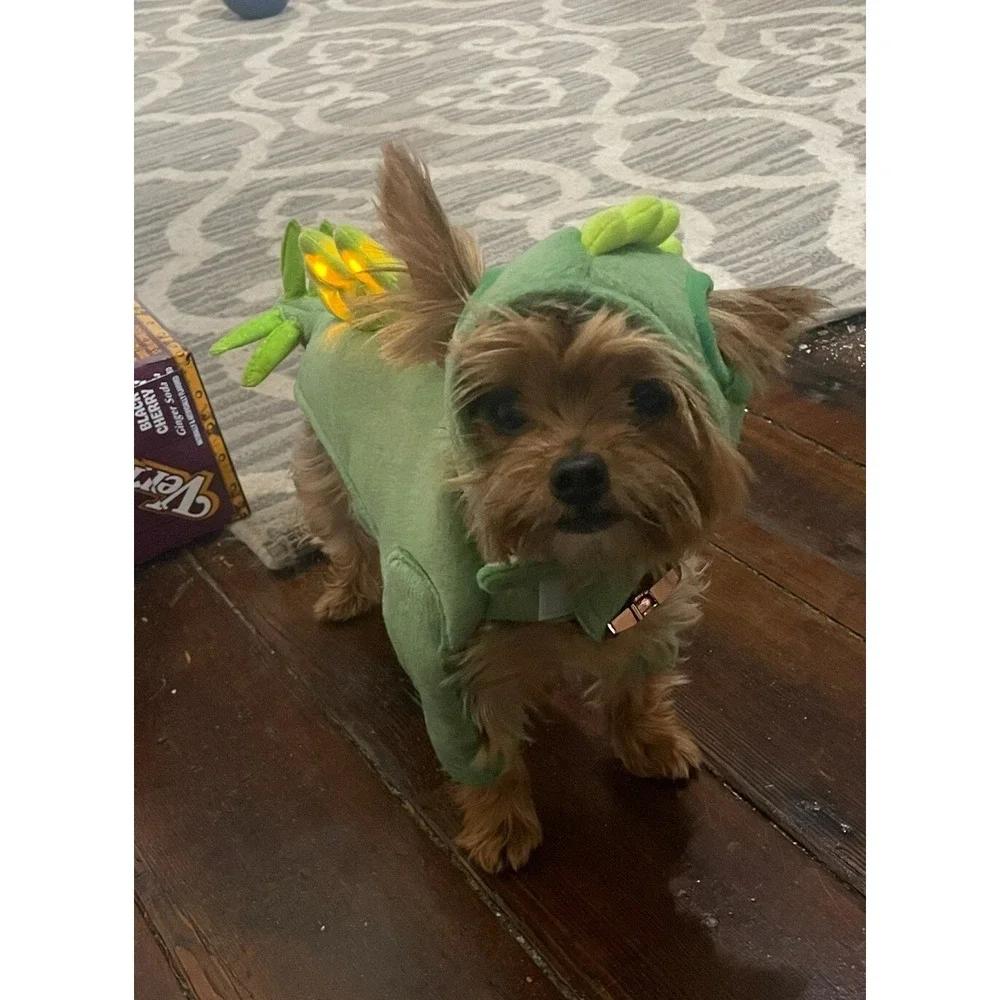 Lot of 2 Dog Cat Halloween Costumes XS Bat And Light Up‎ Dinosaur